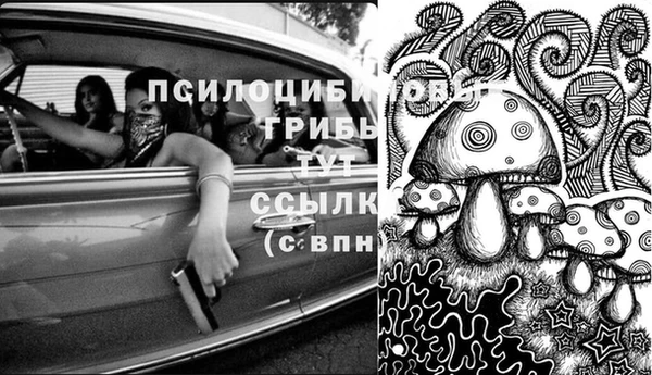 молекула духа Кинешма