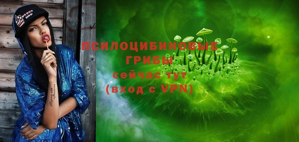 винт Карпинск